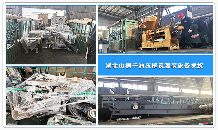 Hubei Tung Seed Oil Press Production Line 