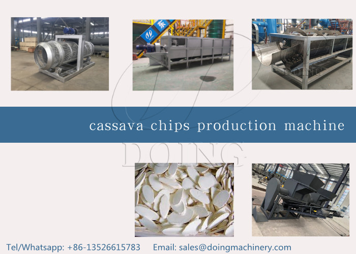 cassava chips line cassava chips line
