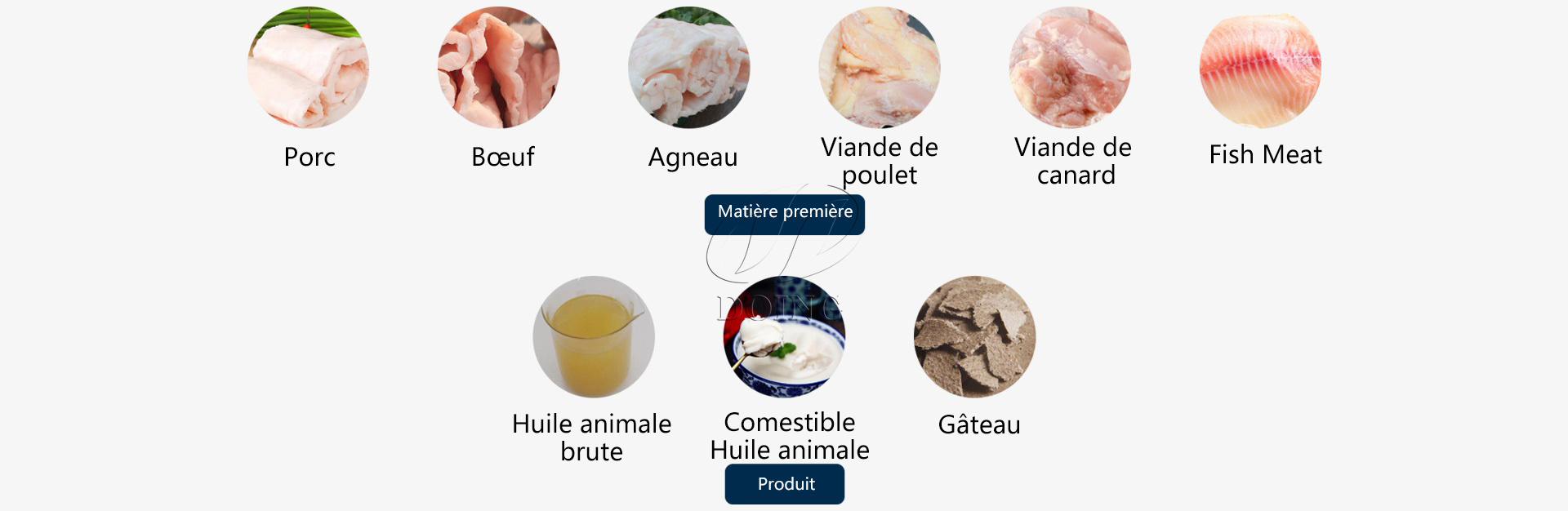 Machine de raffinage d'huile comestible pour petits animaux