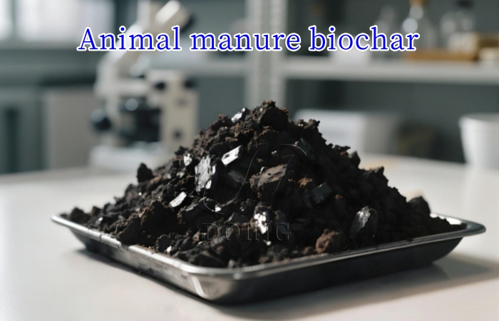 Biochar de fumier animal